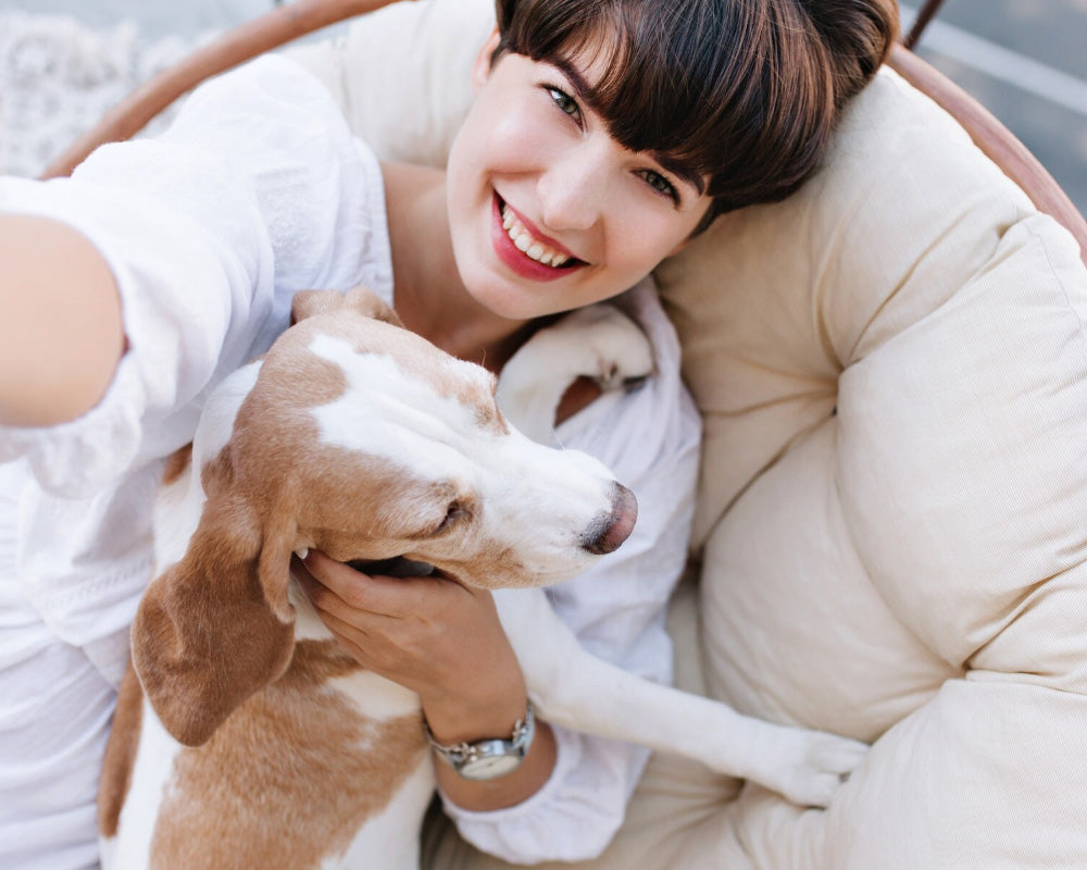 How to Create a Healthier Daily Routine for Your Dog