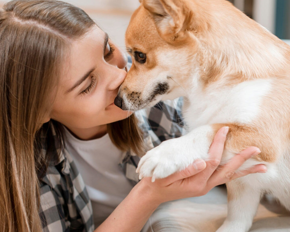 Simple Ways to Keep Indoor Cats Happy and Active
