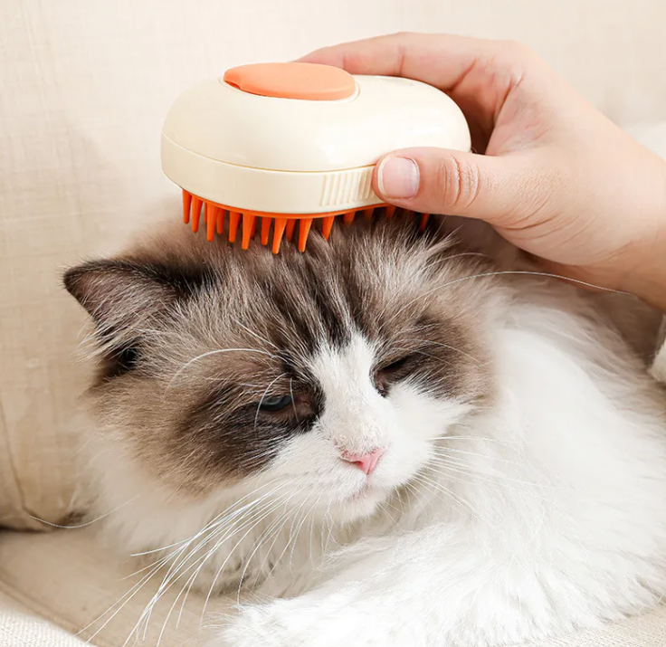 For Cat
