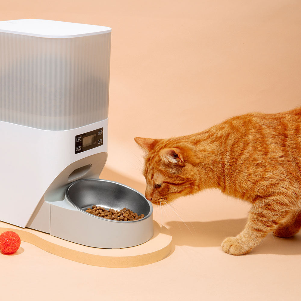 Pet Supplements