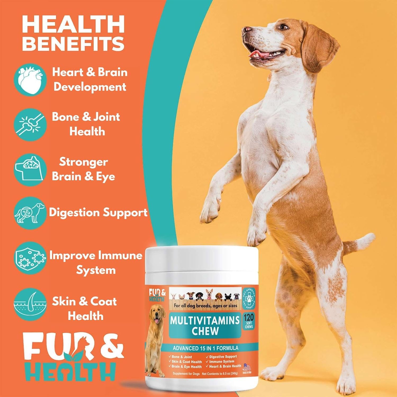 Fur & Health Multivitamin Soft Chews for Dogs | Daily Wellness Support with Essential Vitamins