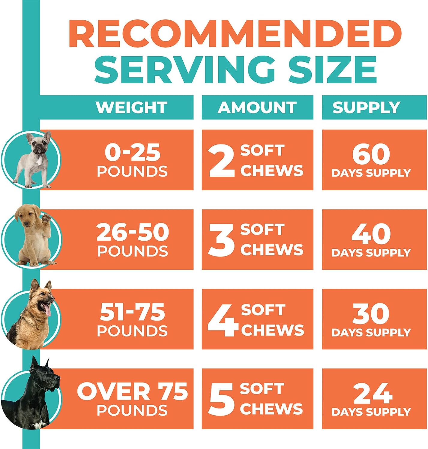 Fur & Health Multivitamin Soft Chews for Dogs | Daily Wellness Support with Essential Vitamins