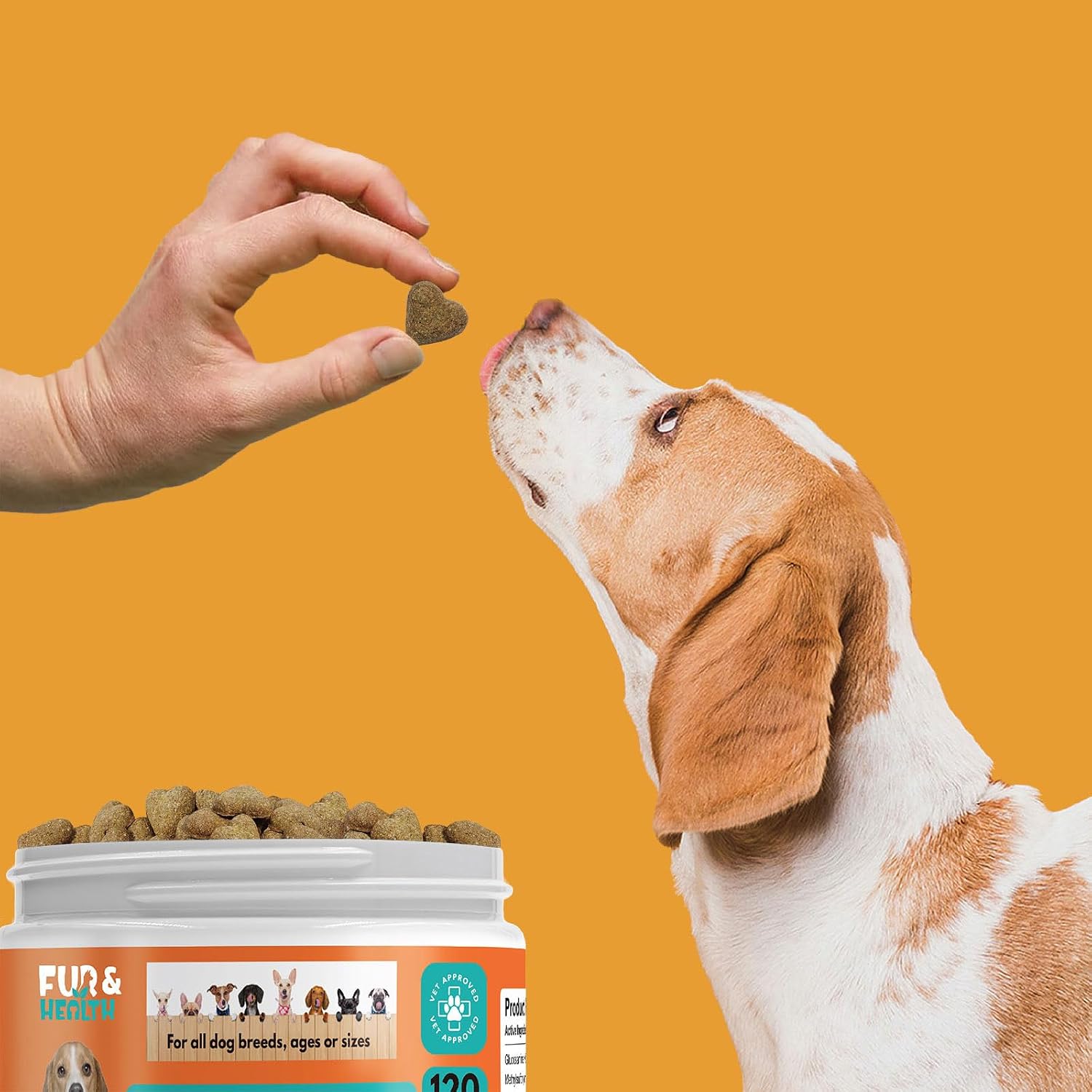 Fur & Health Probiotics for Dogs - Digestive Health Soft Chews with Probiotics & Enzymes