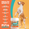 Energetic dog standing on hind legs beside a Fur & Health Probiotics for Dogs supplement jar with highlighted digestive and immune health benefits.
