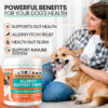 Woman sitting with happy Corgi dog and holding Allergy Support Chew supplement for dogs